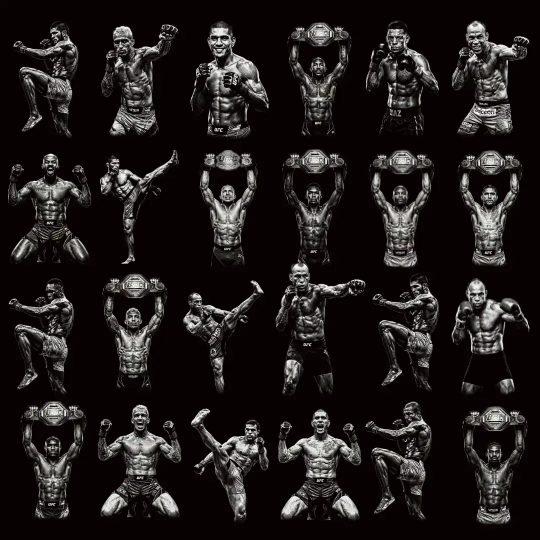 SITE HALFTONEFOX (11) (1)