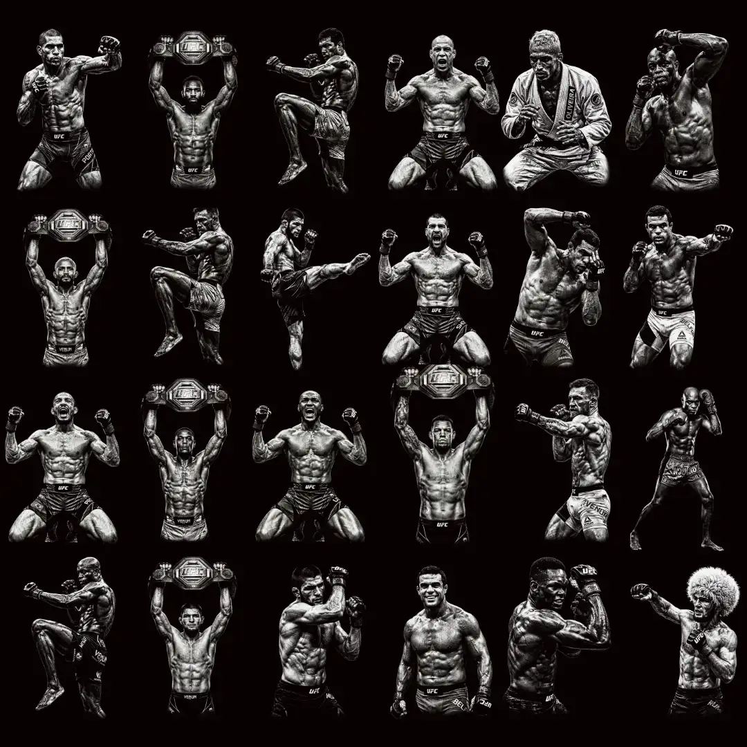 SITE HALFTONEFOX (11) (2)